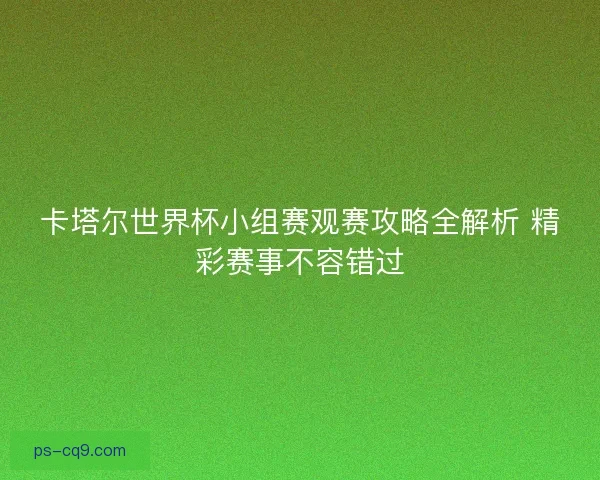 卡塔尔世界杯小组赛观赛攻略全解析 精彩赛事不容错过